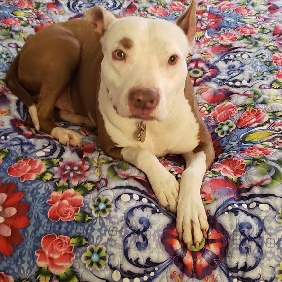 Never Selling! Who Saved Whom?! - Picture 6 of 10